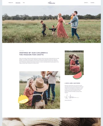 Trang giới thiệu theme wordpress cho doanh nghiệp