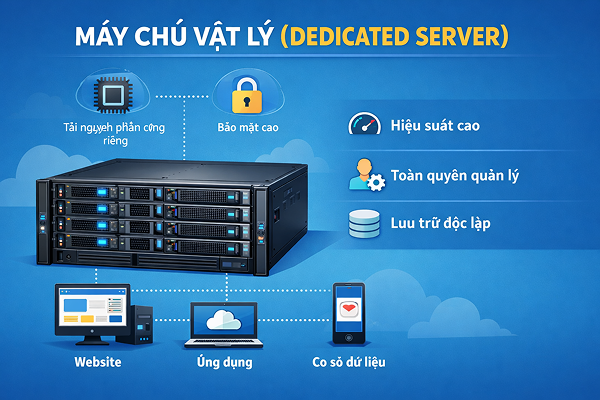 Máy chủ vật lý (Dedicated Server)