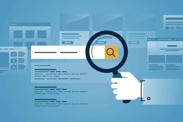 Website có chức năng tìm kiếm